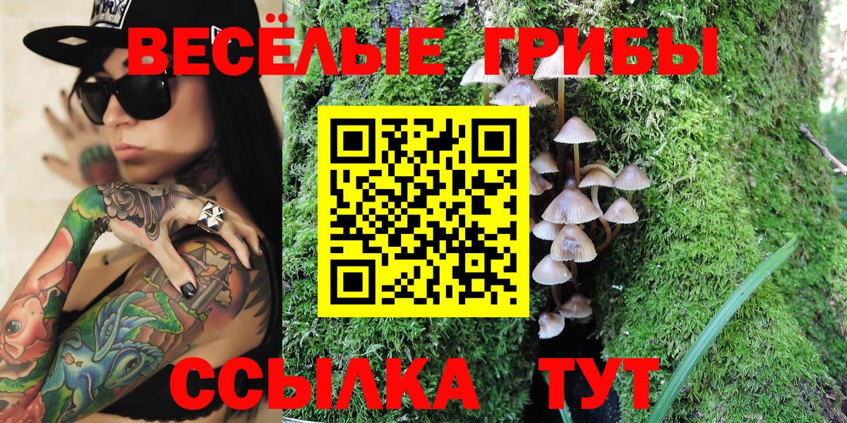Псилоцибиновые грибы MAGIC MUSHROOMS Ростов-на-Дону