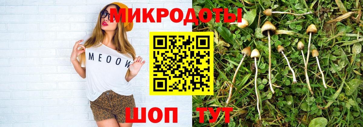 Псилоцибиновые грибы MAGIC MUSHROOMS  Вход с VPN  закладки  Ростов-на-Дону 